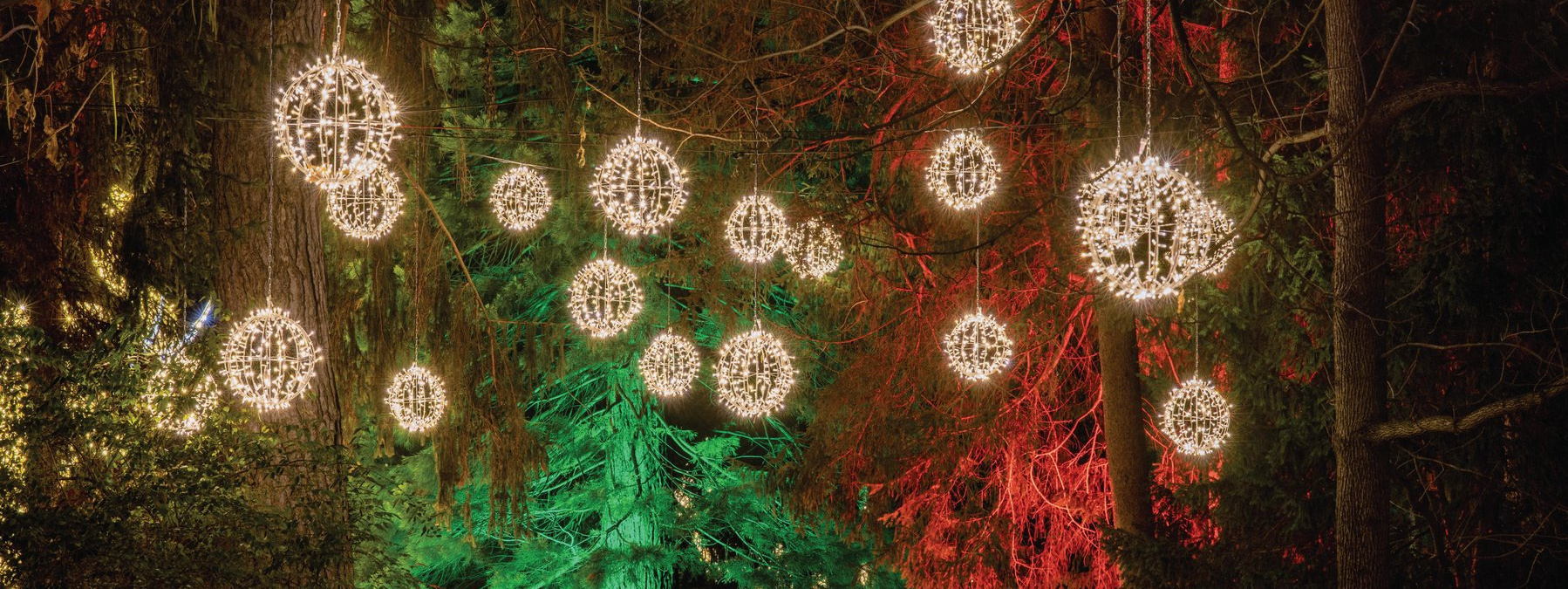 Lichter im Wald bei der Austellung Lumagica im Hofgarten Innsbruck