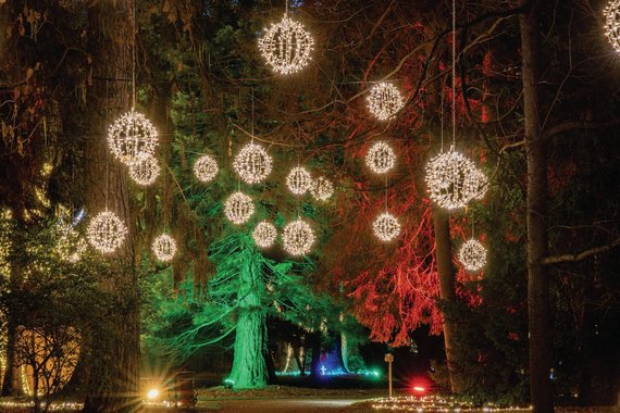 Lichter im Wald bei der Austellung Lumagica im Hofgarten Innsbruck