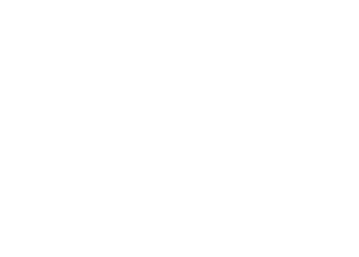 Innsbruck Logo